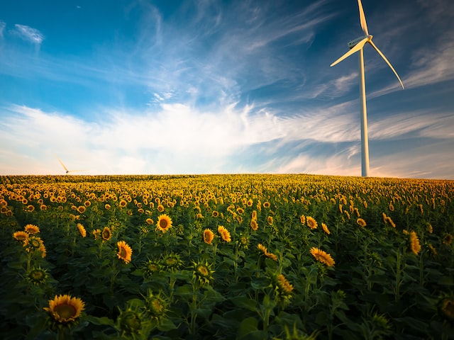 Energías renovables: la crisis ha creado un «impulso sin precedentes», según la Agencia Internacional de la Energía
