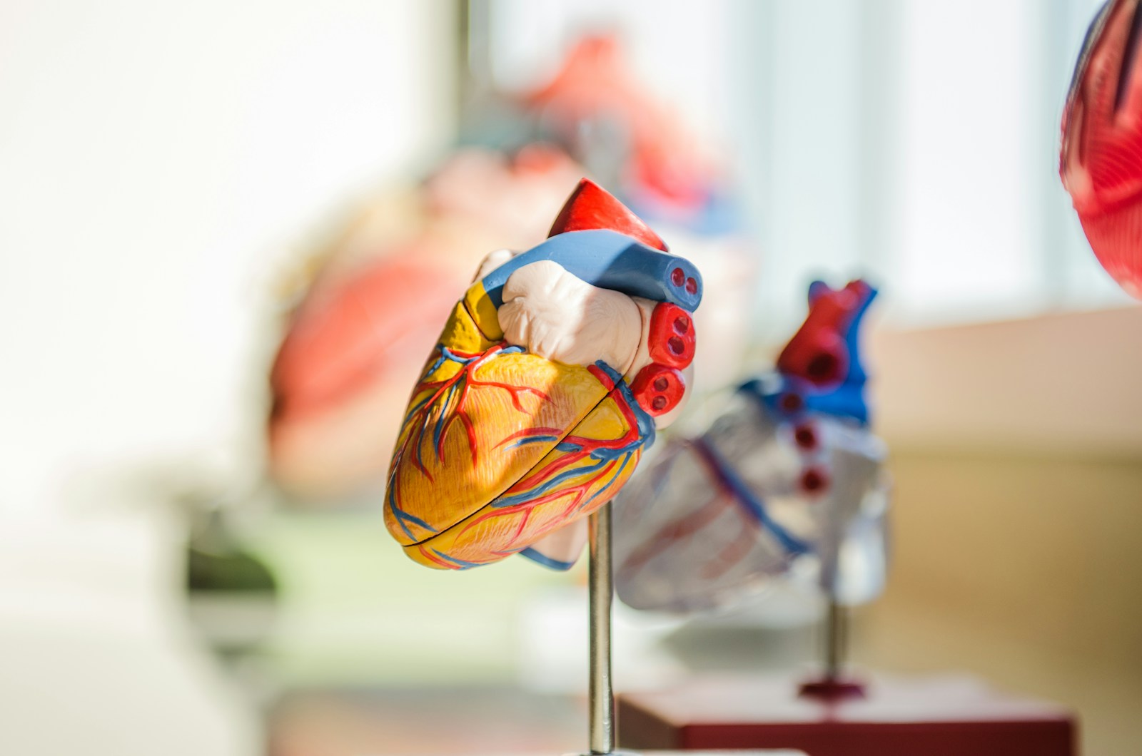 Understanding Medical Policy