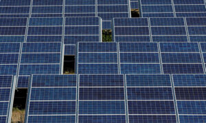La energía solar es ahora la principal fuente de capacidad de energía instalada en China, superando al carbón por primera vez.